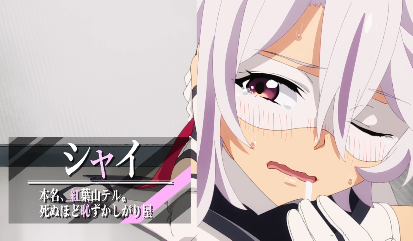 紅葉山テル（もみじやまてる）