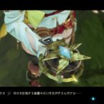 ライザのアトリエ　羅針盤